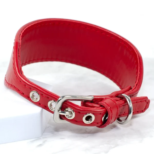 soft leather Italian Greyhound collar - Petiquette Collars