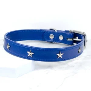 Star studded leather dog collar - Signal Blue - Petiquette Collars