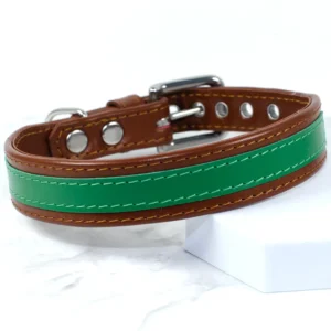 The Strip wide leather dog collar - Acorn - Petiquette Collars