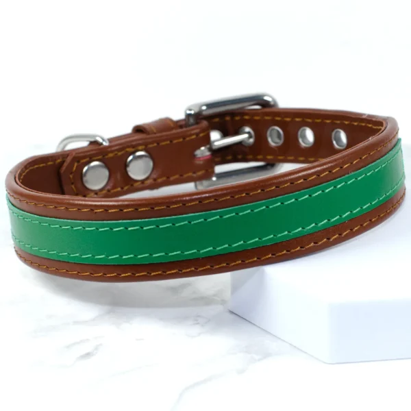 The Strip wide leather dog collar - Acorn - Petiquette Collars