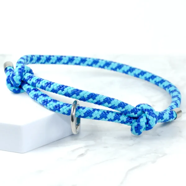 blue adjustable house collar - petiquette collars