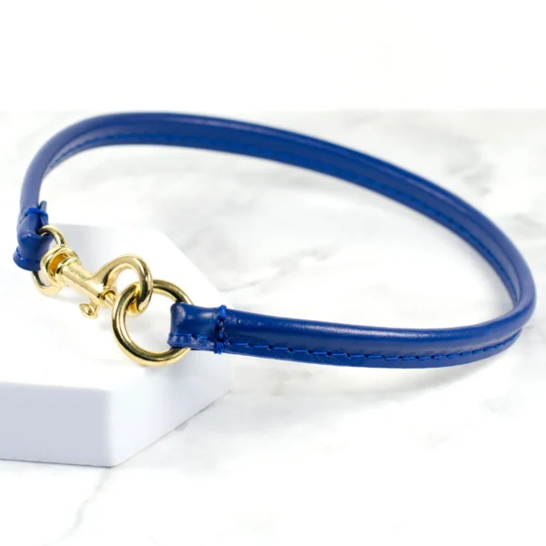 gold clasp leather house collar - petiquette collars