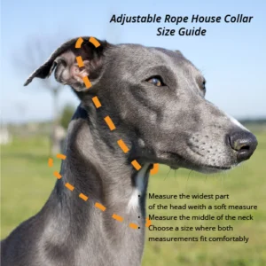 Rope house collar size guide - Petiquette Collars