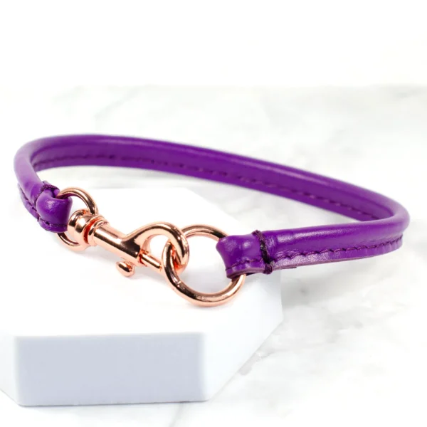 rose gold clasp leather house collar - Petiquette Collars