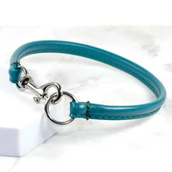 Silver clasp leather house collar - Petiquette Collars
