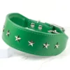 Star studded Whippet Collar - Petiquette Collars