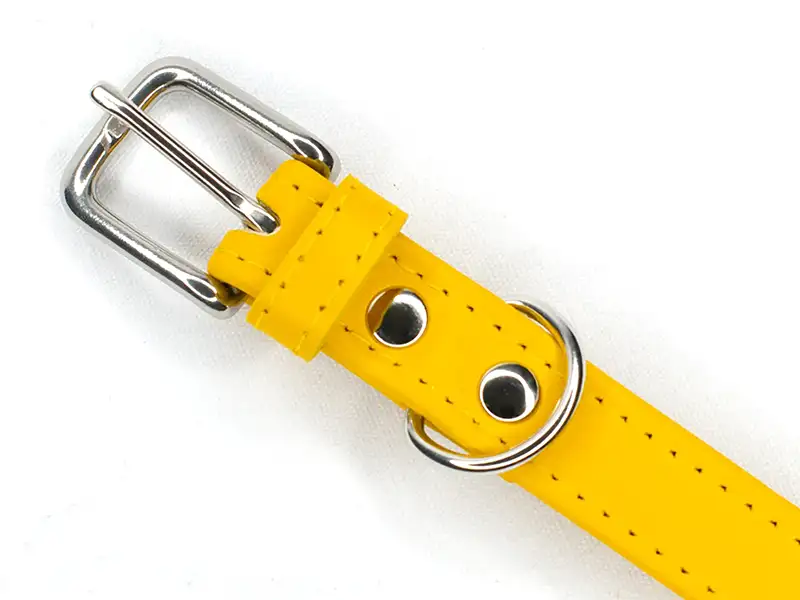 a close up of a yellow leather dog collar made by Petiquette showing stainless steel buckle and quality stitching