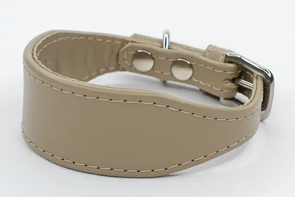 Best Collars for Whippet Puppies: Soft, Safe & Stylish Options 4 a leather whippet puppy collar in mushroom coloured leather handmade by petiquette collars