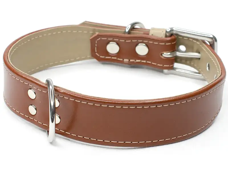 A rich brown wide leather dog collar made by Petiquette Collars