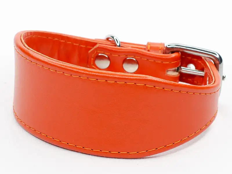 Stylish Whippet Collars in Every Colour: Our Top Picks 3 Jaffa Orange Whippet collar by Petiquette Collars