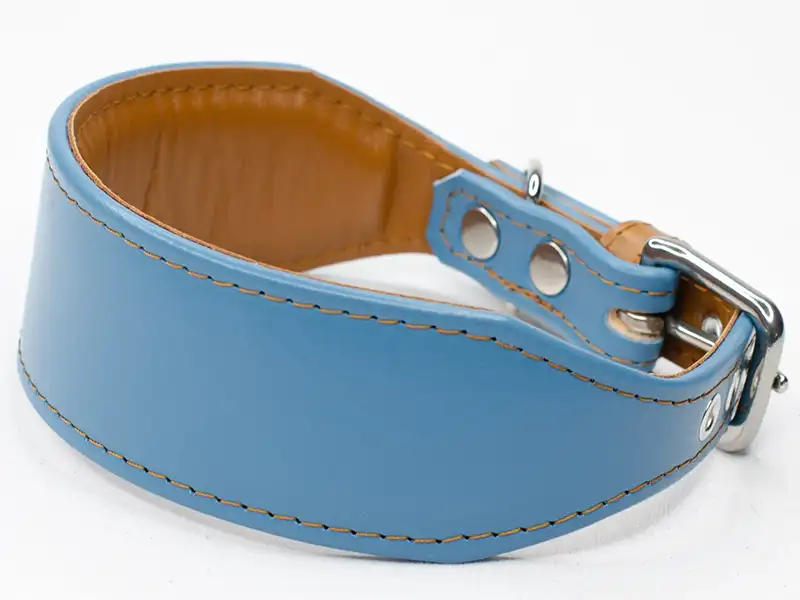 Stylish Whippet Collars in Every Colour: Our Top Picks 6 padded leather whippet collar in baby blue leather with peanut butter lining and stitching made by Petiquette