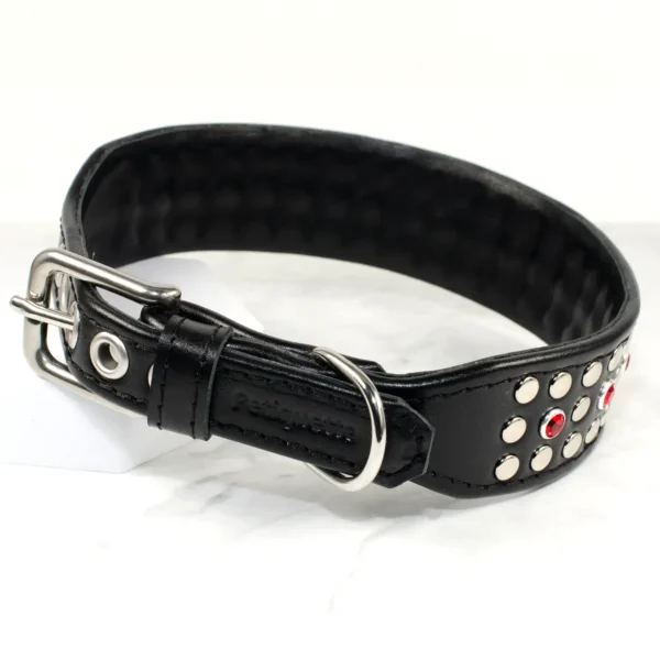 A wide leather dog collar in black, with stainless steel buckle made by Petiquette