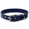 a rich purple leather dog collar with solid stainless steel buckle, handmade by Petiquette