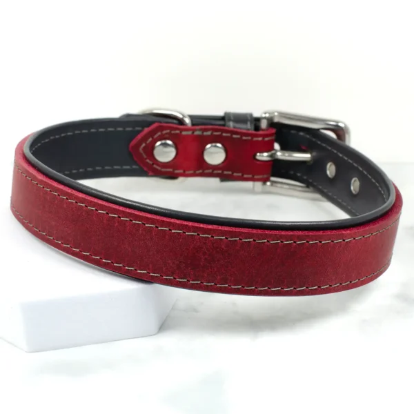 A traditional Oxblood coloured leather dog collar, handmade by Petiquette