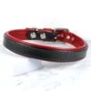 black and red padded leather dog collar - Petiquette