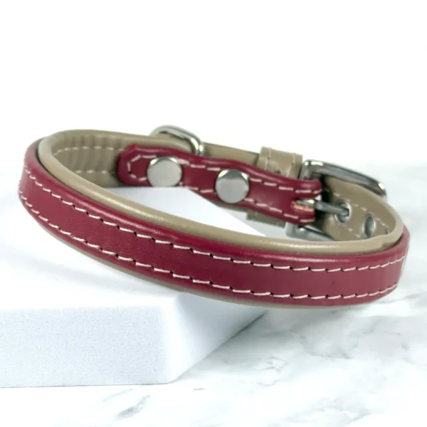 easter rose and mushroom padded collar - petiquette