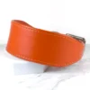 orange leather greyhound collar - petiquette