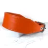 orange leather whippet collar