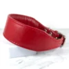 red leather whippet puppy collar - petiquette