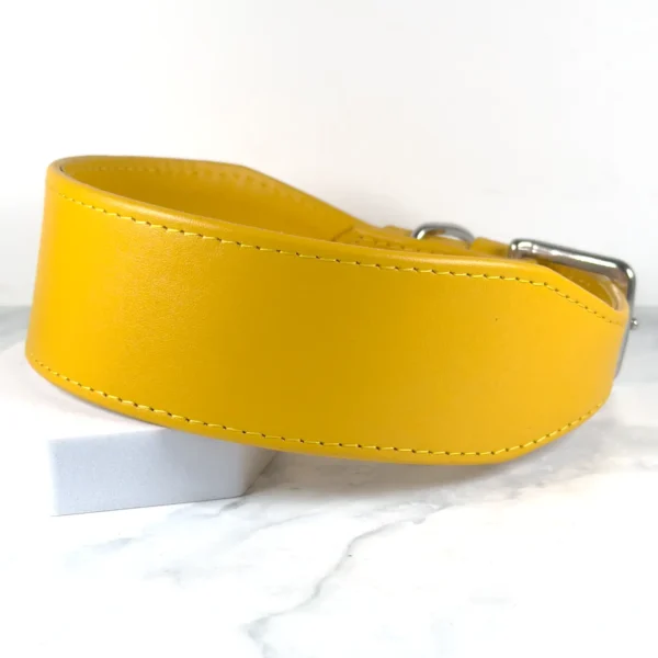 yellow leather greyhound collar - petiquette