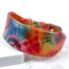 Tie Dye printed leather sighthound collar - Petiquette