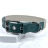 teal vegetable tanned leather and natural hemp webbing dog collar with stainless buckle