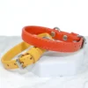 soft leather puppy collar in orange and jaffa - petiquette collars