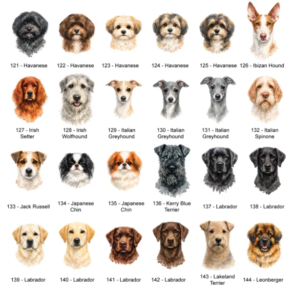 Dog ID Tag Breed Illustrations 121-144 - Petiquette Collars