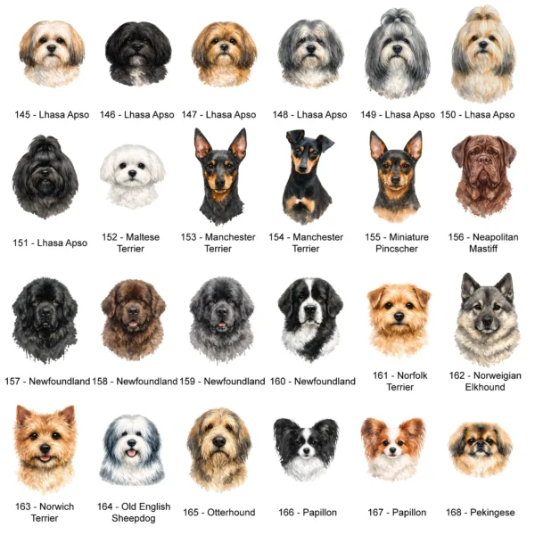 Dog ID Tag Breed Illustrations 145-168 - Petiquette Collars