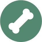 Bone icon