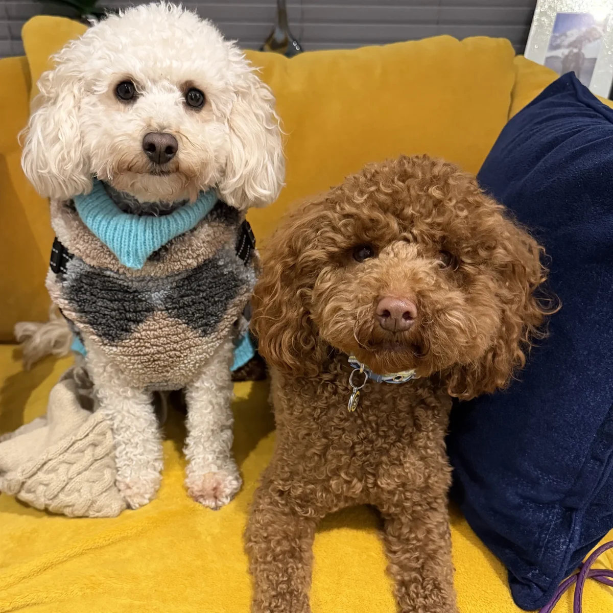 Kevin and Heidi on the sofa