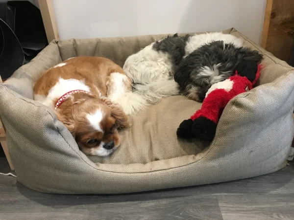 Lucy and Jimmy sharing a bed