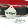 Pastel Stripes pet ID tag - Petiquette Collars