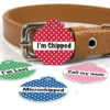 polka dot personalised pet id tag by Petiquette