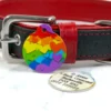 Rainbow Heart pet id tag by Petiquette Collars