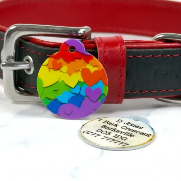 Rainbow Heart pet id tag by Petiquette Collars