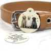 Trick or Treat Pet ID Tag