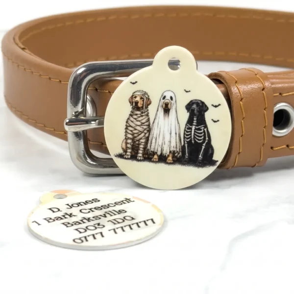Trick or Treat Pet ID Tag