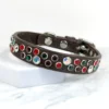 10.5" - 12.5" Willow Chaos Theory collar