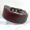 12.5" - 14.5" Colour Contrast Whippet Collar - Chianti/Dove