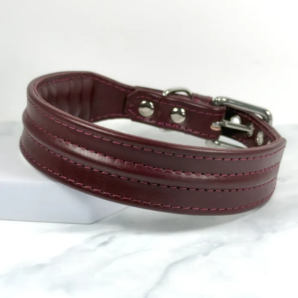 13.5" - 15.5" Ridge Leather Dog Collar in Chianti