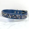 15" - 18" Signal Blue Chaos Theory collar