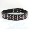 19.5" - 22.5" Black Trinity collar