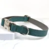 An adjustable teal leather dog collar, handmade by Petiquette Collars