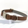 A brown vegetable tanned leather dog collar by Petiquette