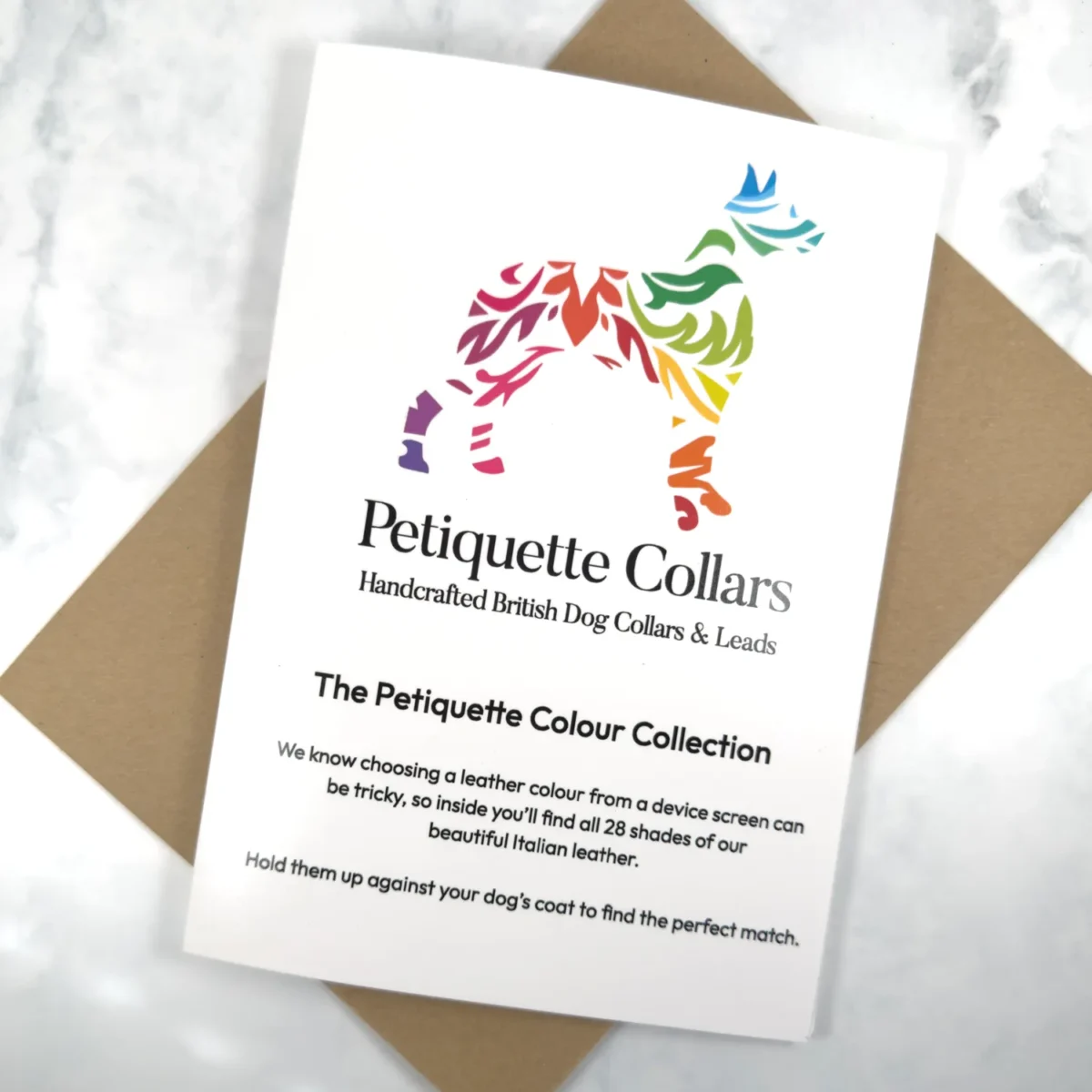 leather dog collar colour swatch card