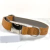 A cognac tan vegetable tanned leather dog collar by Petiquette