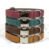 4 quick release leather dog collars made from tuscan leather by Petiquette