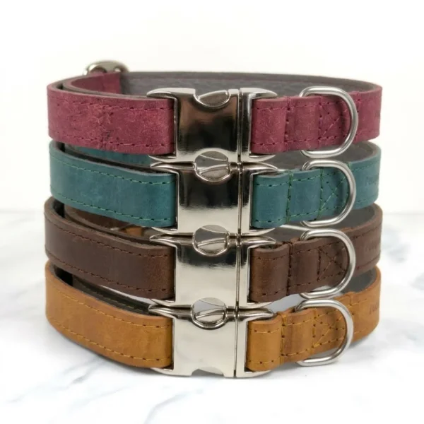 4 quick release leather dog collars made from tuscan leather by Petiquette